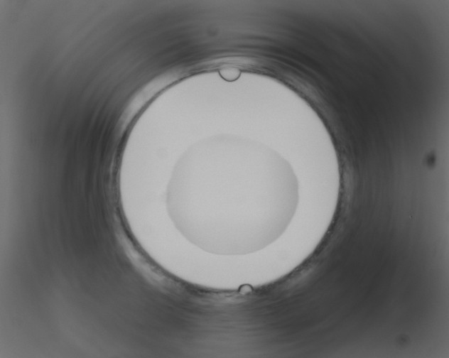 X0000115781426200912241801