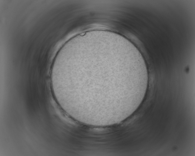 X0000115781427200912241801