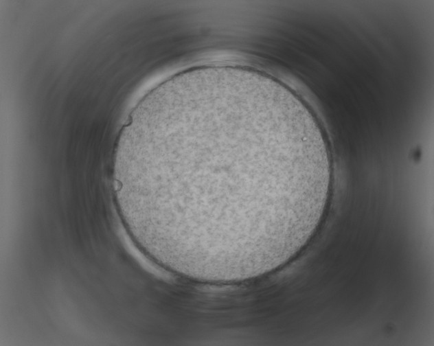 X0000115781429200912241801