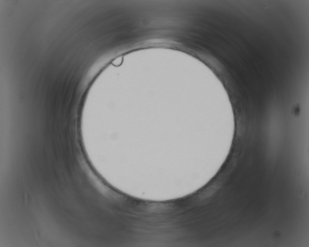 X0000115781430200912241801