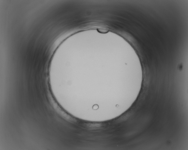 X0000115781431200912241801