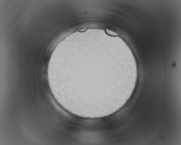 X0000115781433200912241801