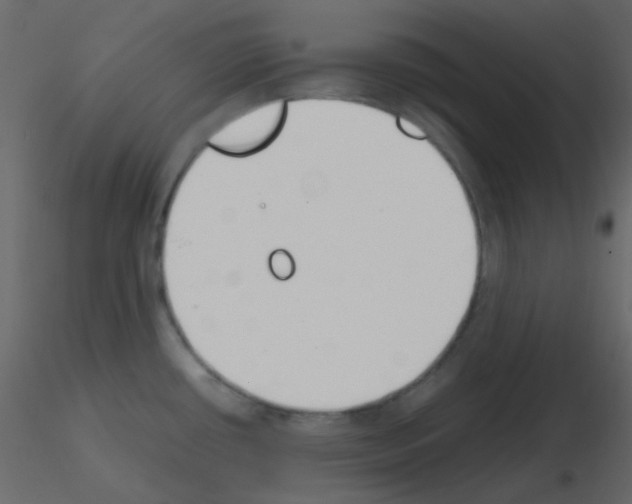 X0000115781434200912241801