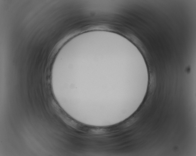 X0000115781435200912241801