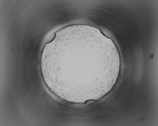 X0000115781437200912241801