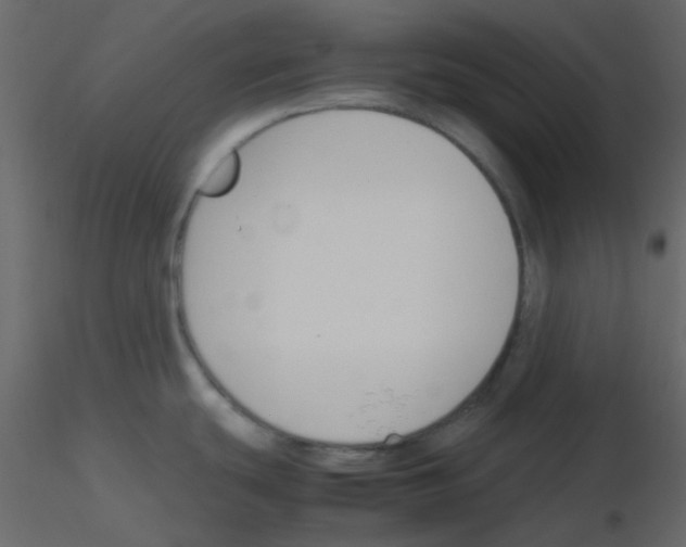 X0000115781439200912241801