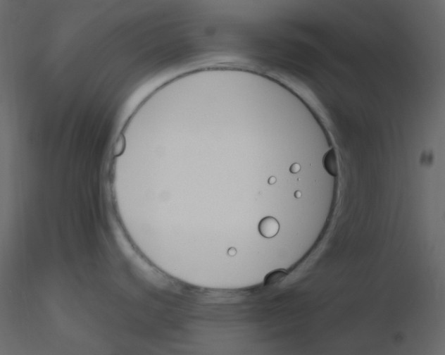 X0000115781440200912241801