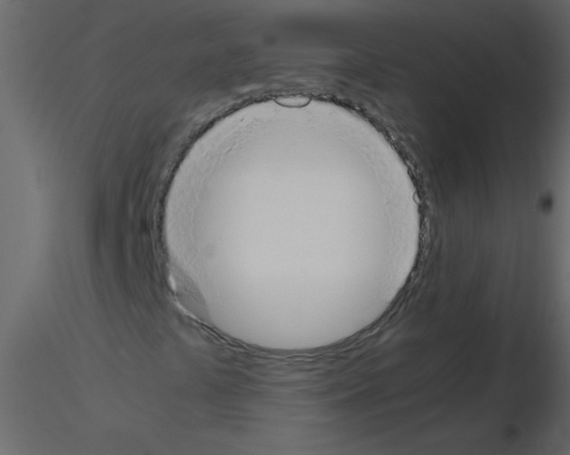 X0000115781441200912241801