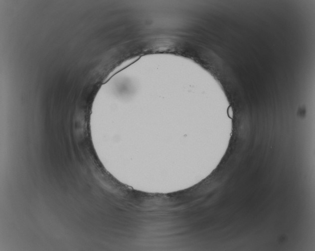 X0000115781442200912241801