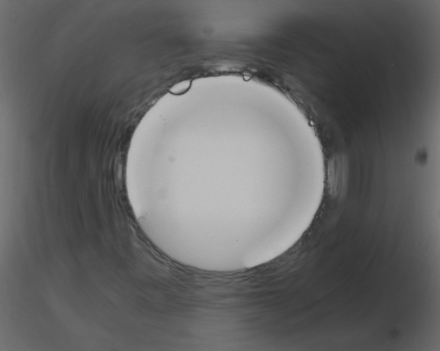 X0000115781443200912241801