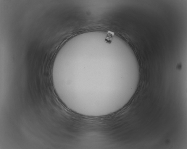 X0000115781444200912241801