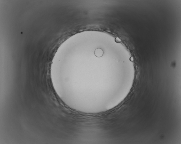 X0000115781445200912241801