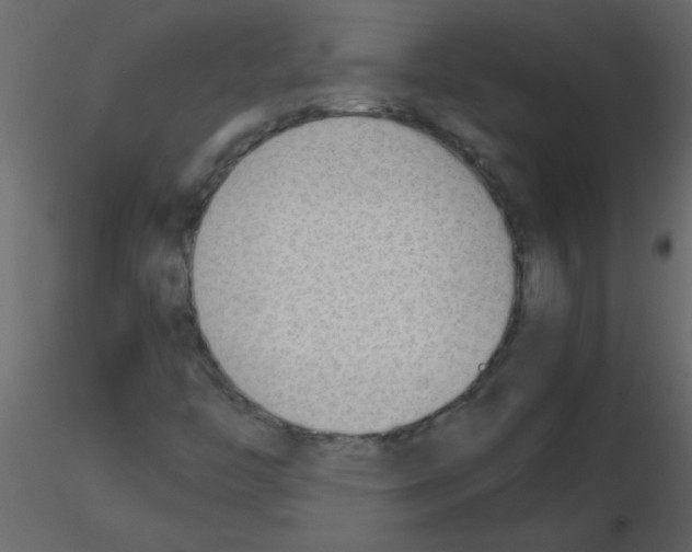 X0000115781446200912241801