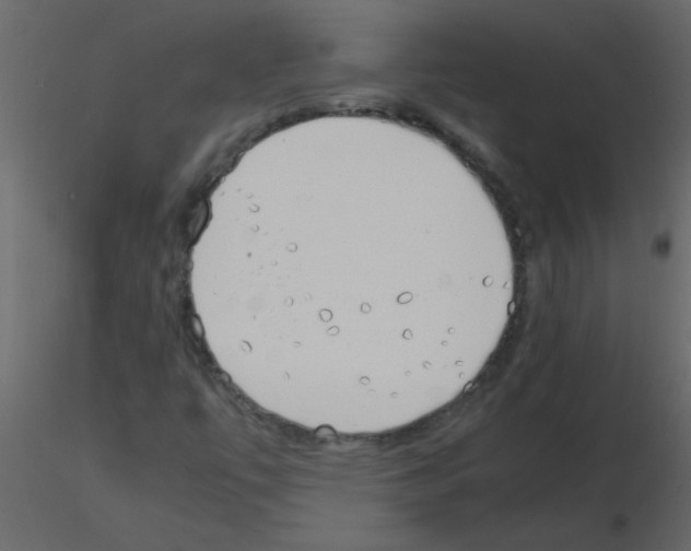 X0000115781447200912241801