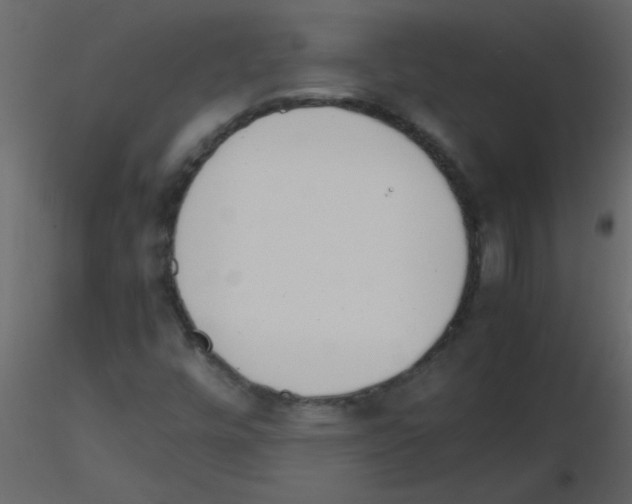 X0000115781448200912241801