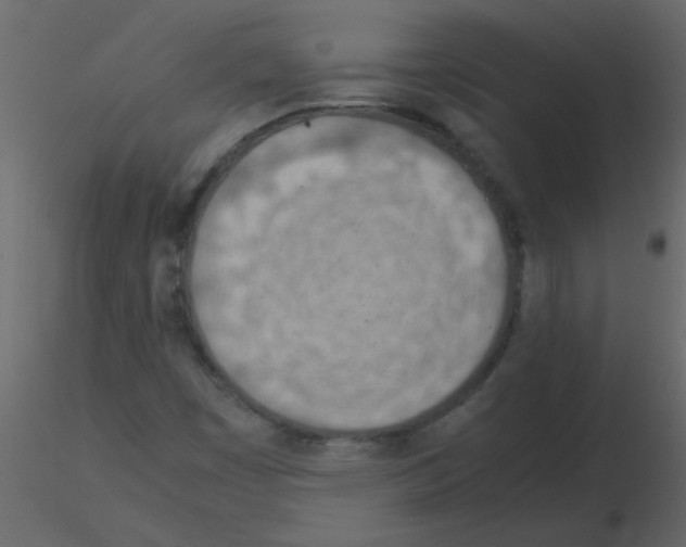 X0000115781449200912241801