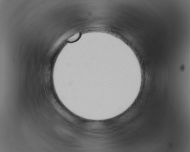 X0000115781450200912241801