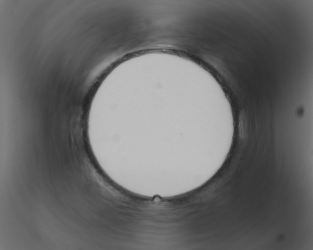 X0000115781452200912241801