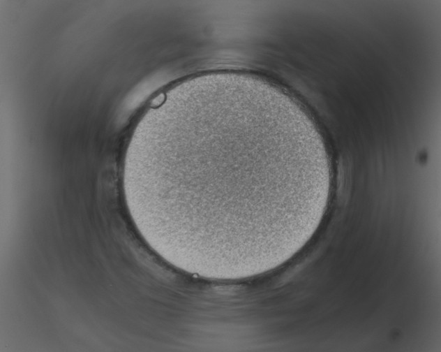 X0000115781453200912241801