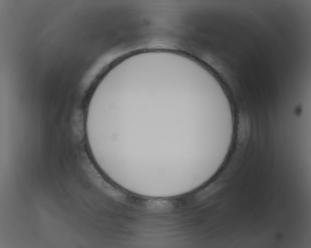 X0000115781454200912241801