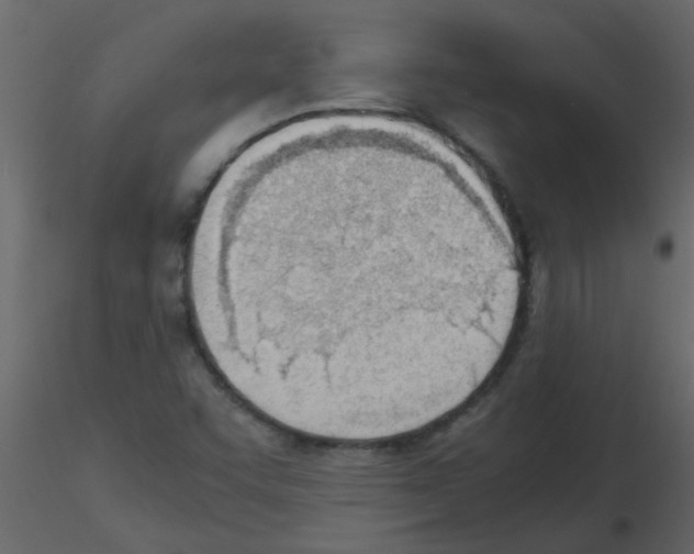 X0000115781455200912241801