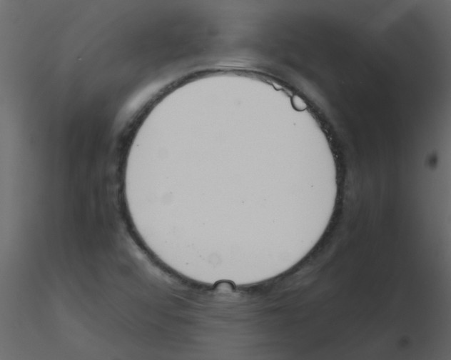 X0000115781456200912241801