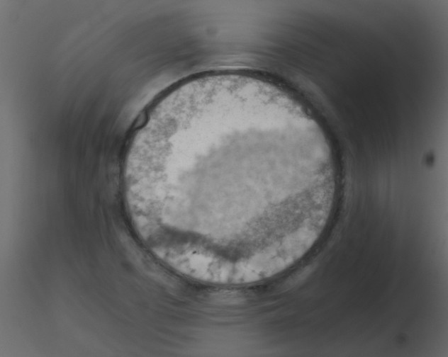 X0000115781457200912241801