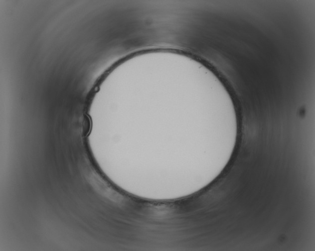 X0000115781460200912241800