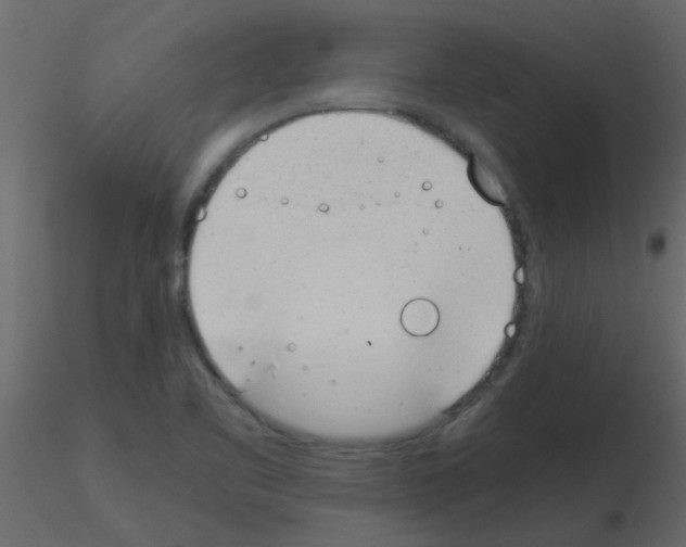 X0000115781461200912241800