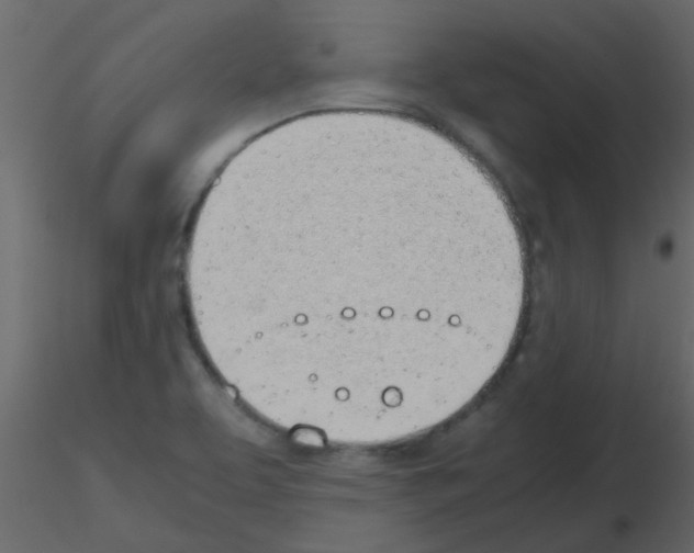 X0000115781463200912241800