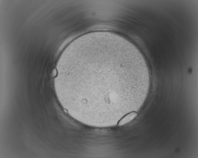 X0000115781465200912241800