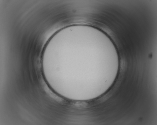 X0000115781466200912241800