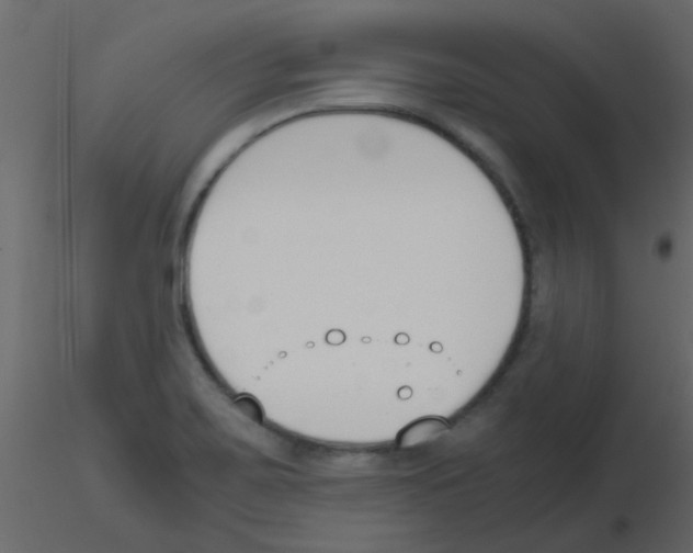 X0000115781467200912241800