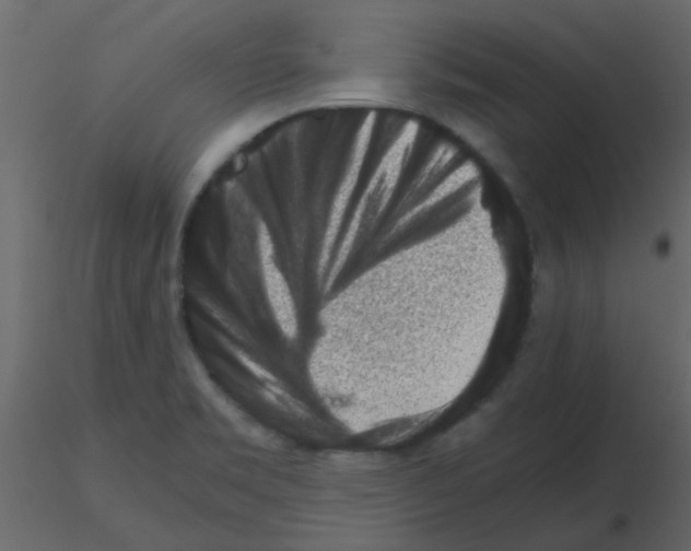 X0000115781469200912241800