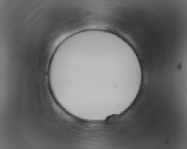 X0000115781471200912241800