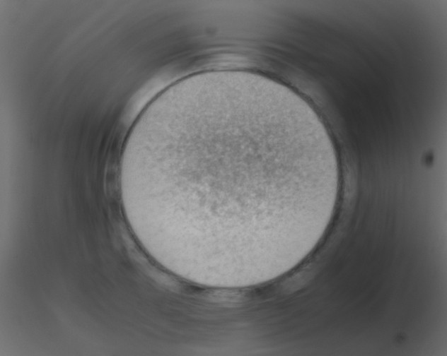 X0000115781473200912241800