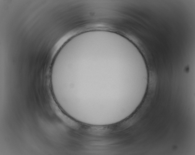 X0000115781474200912241800