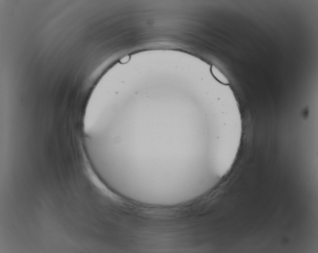 X0000115781476200912241800