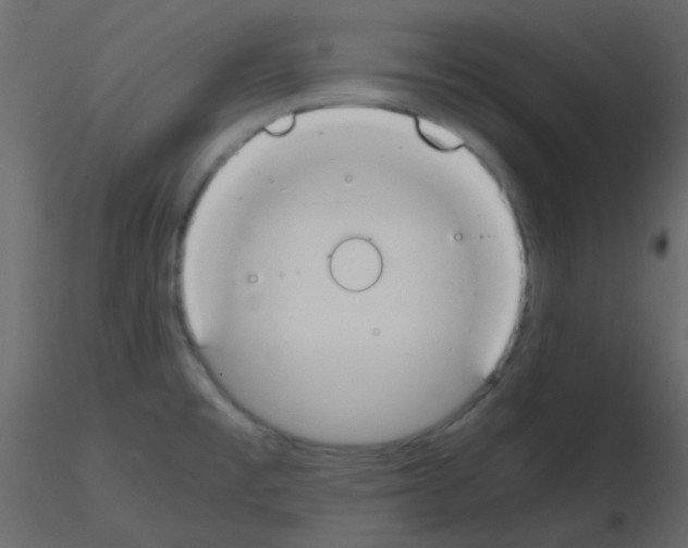 X0000115781477200912241800