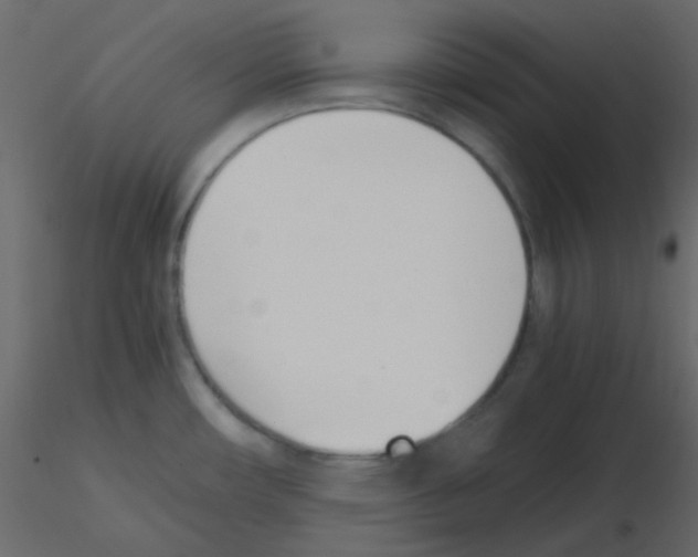 X0000115781482200912241800