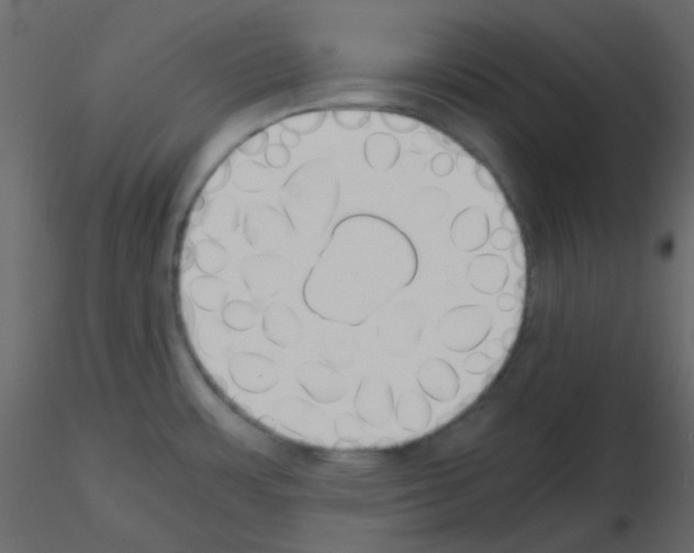 X0000115781483200912241800