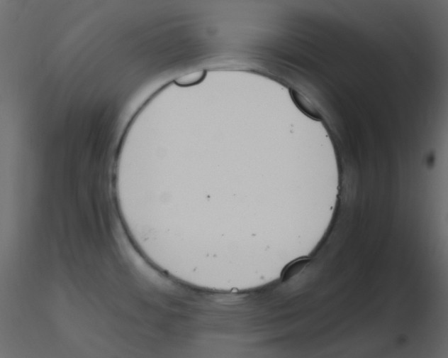 X0000115781484200912241800