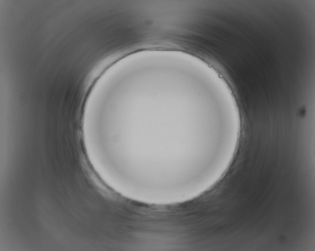 X0000115781485200912241800