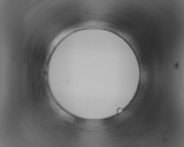 X0000115781486200912241800