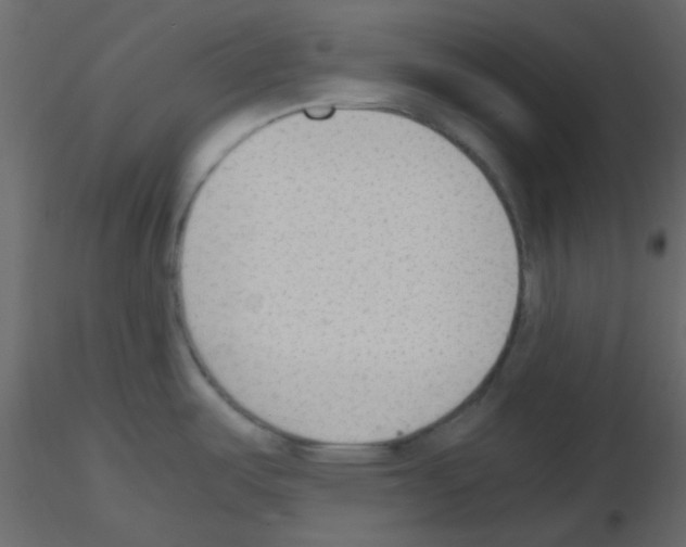 X0000115781487200912241800