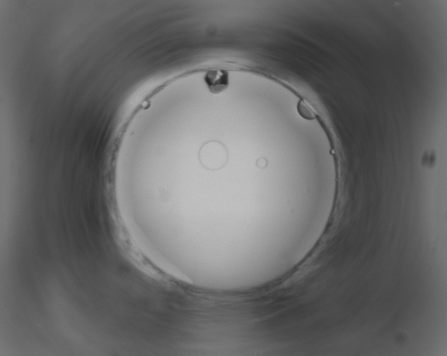 X0000115781488200912241800