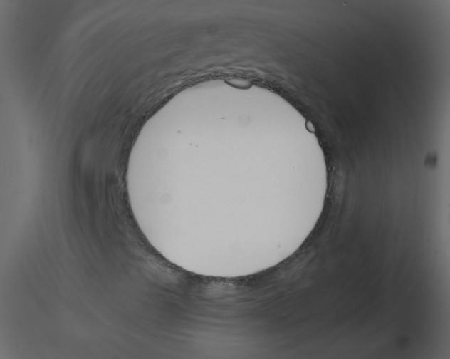 X0000115781489200912241759