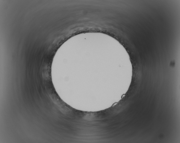 X0000115781490200912241759