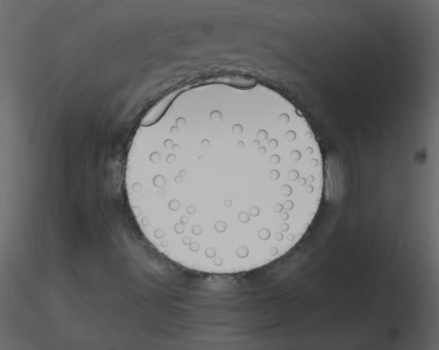 X0000115781491200912241759