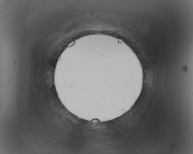 X0000115781493200912241759